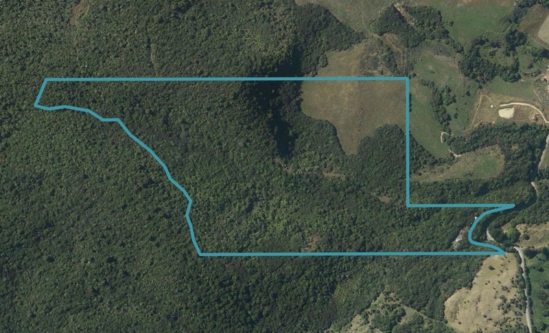 239 Waitati Valley Road, Upper Waitati, Waitati - Carousel 1