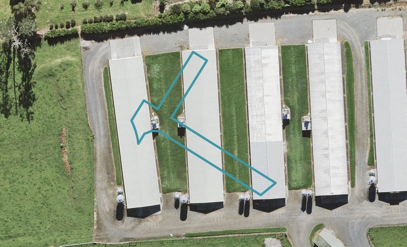116 Hornbeam Road, Westgate, Auckland - Carousel 1