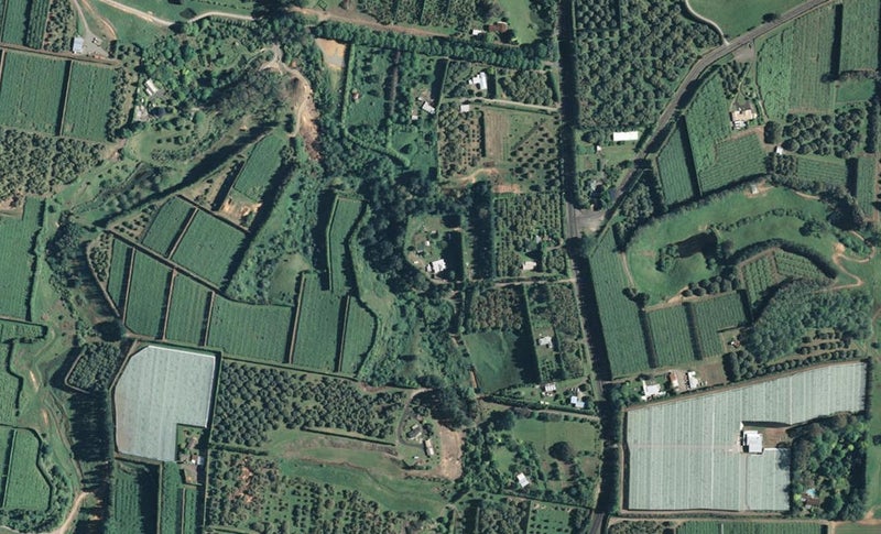 461 State Highway 2, Tahawai, Katikati - Carousel 1