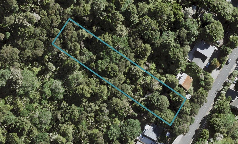 589 South Titirangi Road, Titirangi, Auckland - Carousel 1