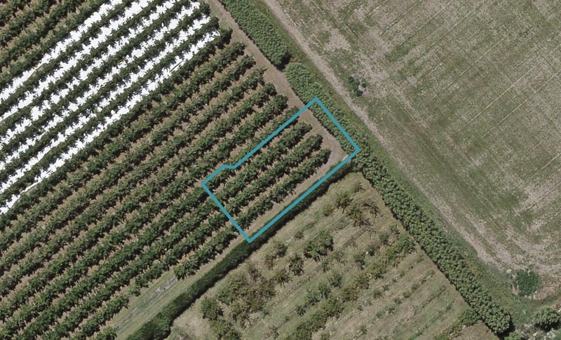 3 Te Ara Matipou, Frimley, Hastings - Carousel 1