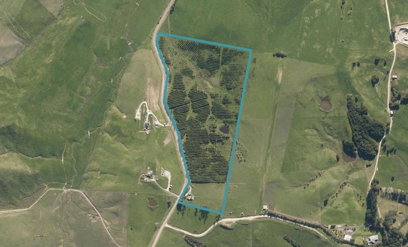 0 Brown Rd, Hakaru, Kaiwaka - Carousel 1