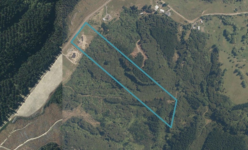31 Wright Road, Evansdale, Waikouaiti - Carousel 1