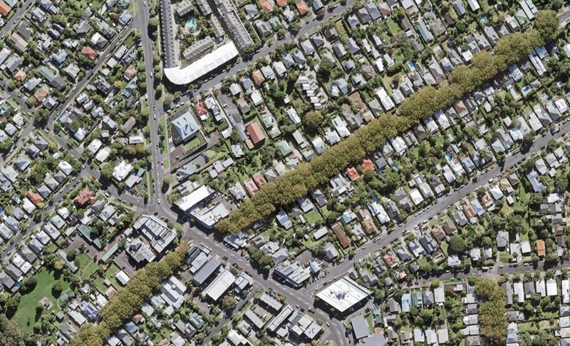 10 Hakanoa Street, Grey Lynn, Auckland - Carousel 1