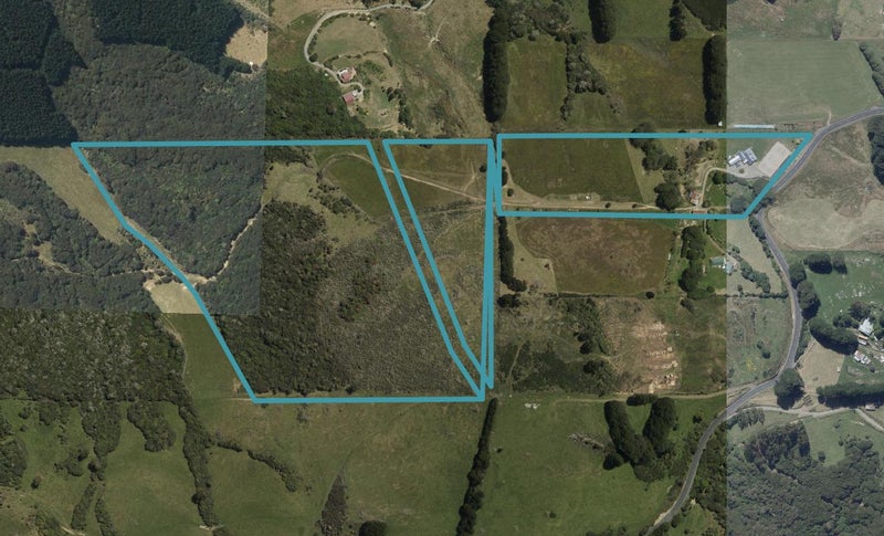 355 Mount Cargill Road, Mount Cargill, Waitati - Carousel 1