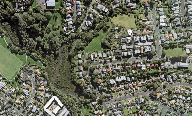 4 Hukanui Crescent, Ponsonby, Auckland - Carousel 1