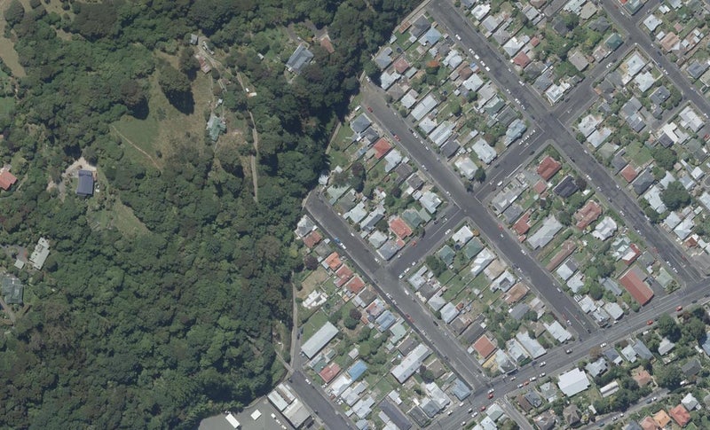 28 Northumberland Street, North East Valley, Dunedin - Carousel 1