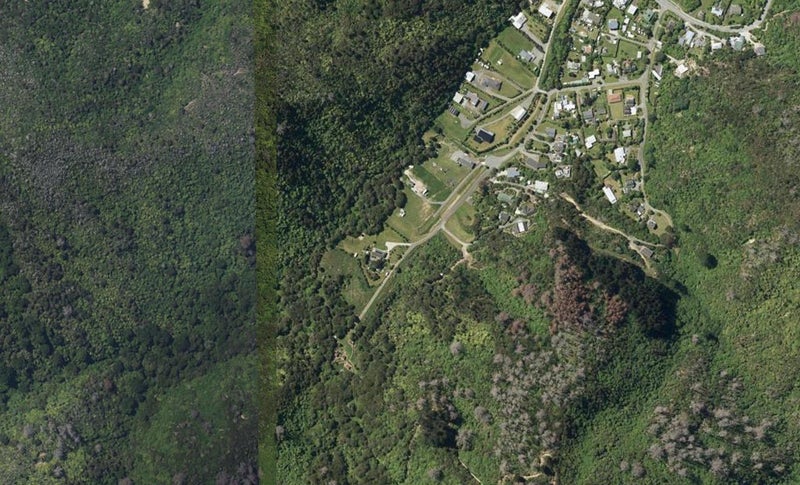 36 Manuka Drive, Ngakuta Bay - Carousel 1