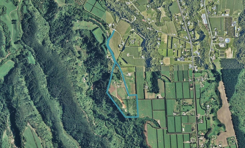89J Merrick Road, Pyes Pa, Tauranga - Carousel 1