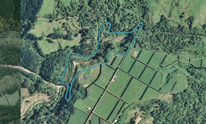 1240B No 3 Road, Te Puke, Te Puke - Carousel 1