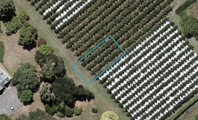 37 Te Ara Matipou, Frimley, Hastings - Carousel 1