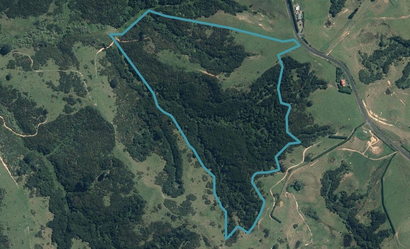 99 Esk Road, Pūkorokoro / Miranda, Kaiaua - Carousel 1