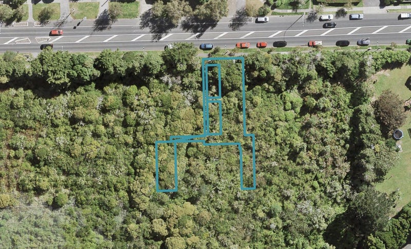 31 Yozin Road, Swanson, Auckland - Carousel 1
