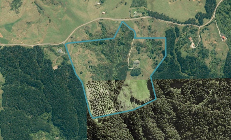 253 Rodney Road, Warkworth - Carousel 1