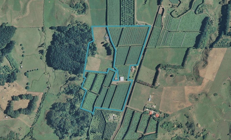 190 Mccarthy Road, WAIOTAHE, OPOTIKI - Carousel 1