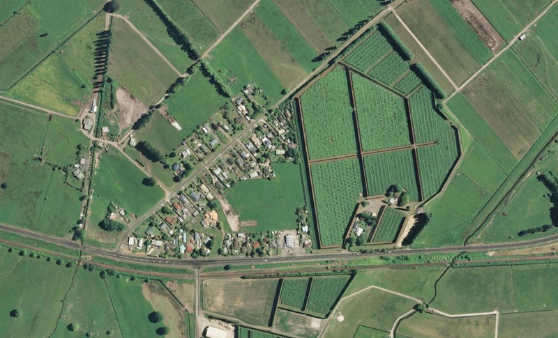 21 Penelope Place, Pongakawa, Te Puke - Carousel 1