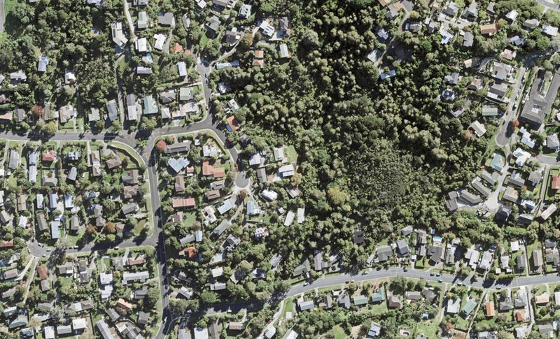 22A Reynolds Place, Torbay, Auckland - Carousel 1