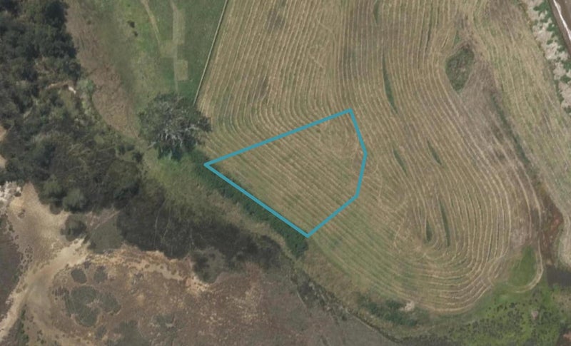 10 Grey Heron Close, Mangawhai Heads, Mangawhai - Carousel 1
