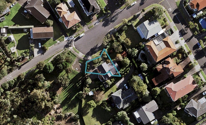 1/100 Walker Road, Point Chevalier, Auckland - Carousel 1