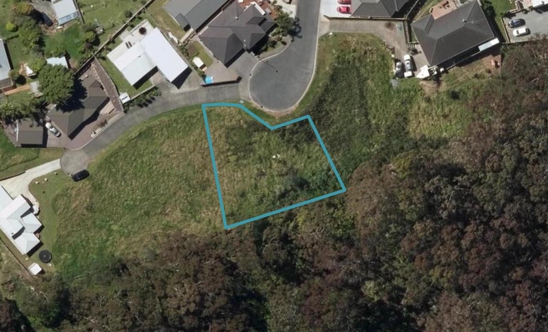 17 Madison Place, Morningside, Whangārei - Carousel 1