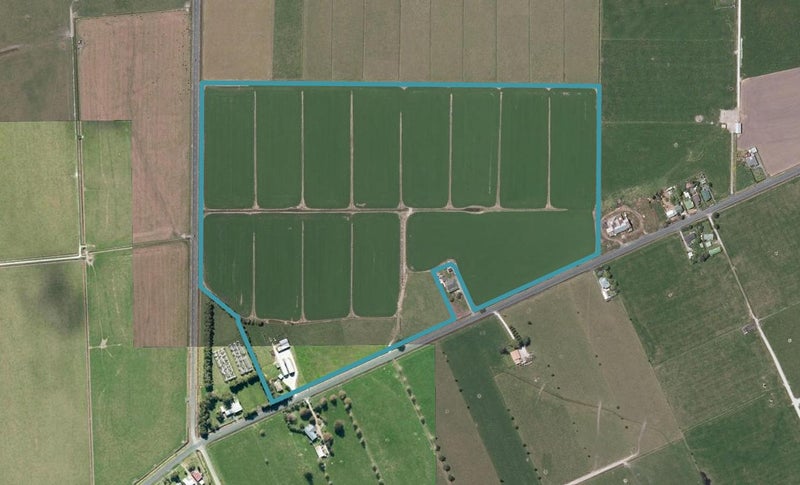 3984 State Highway 12, Ruawai - Carousel 1