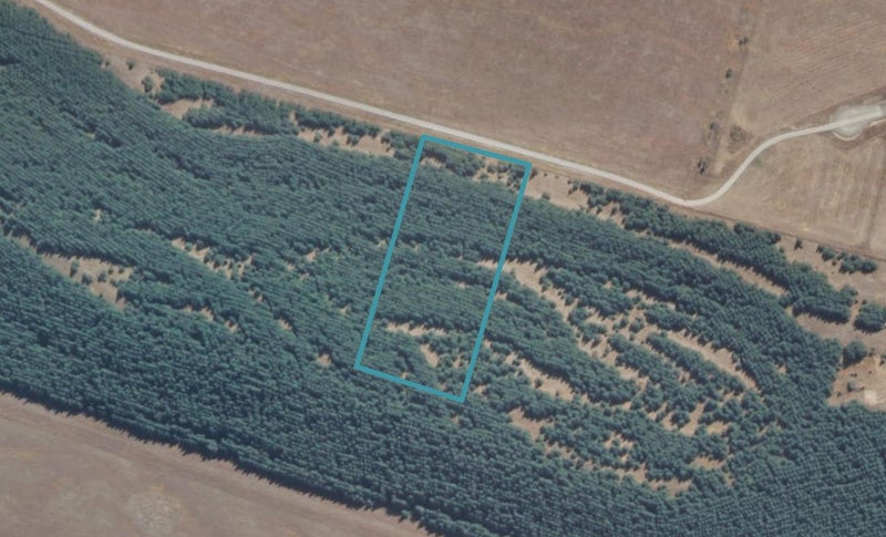 61 The Drive, Twizel - Carousel 1