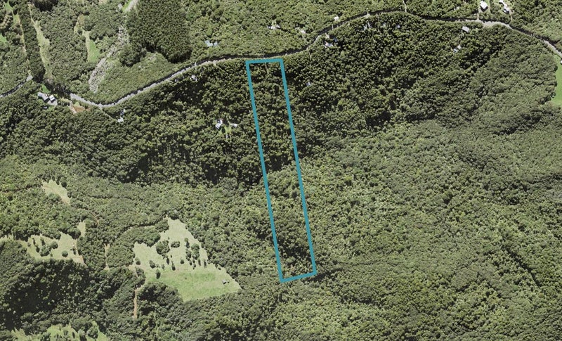 20 Te Aute Ridge Road, Waitākere, Auckland - Carousel 1