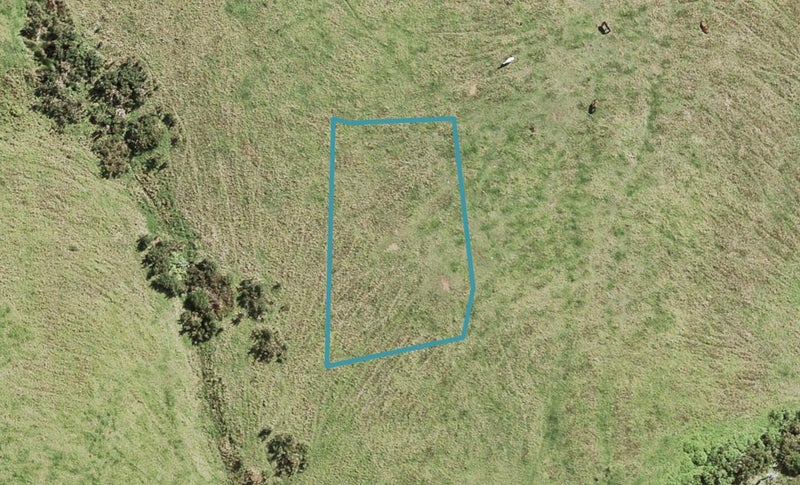 12 Katote Avenue, SWANSON, AUCKLAND - Carousel 1