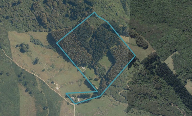 160 Rudd Road, Halfway Bush, Dunedin - Carousel 1