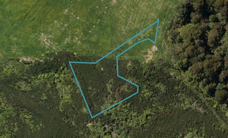 12 Maple Lane, Te Kamo, Whangārei - Carousel 1