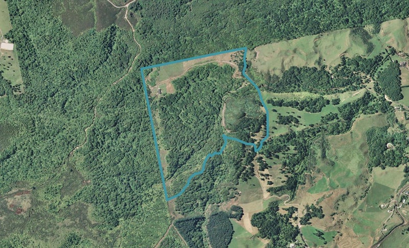880D Whakamarama Road, Whakamarama, Whakamārama - Carousel 1