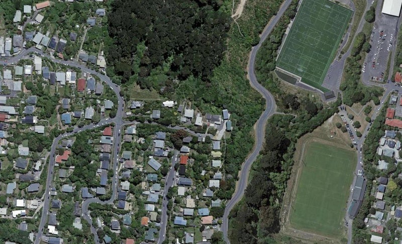 8 Pearce Street, Vogeltown, Wellington - Carousel 1