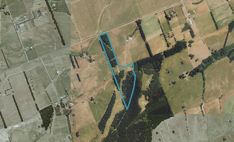 2191 State Highway 63, Blenheim - Carousel 1