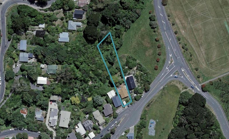 4 Balfour Street, Mornington, Wellington - Carousel 1