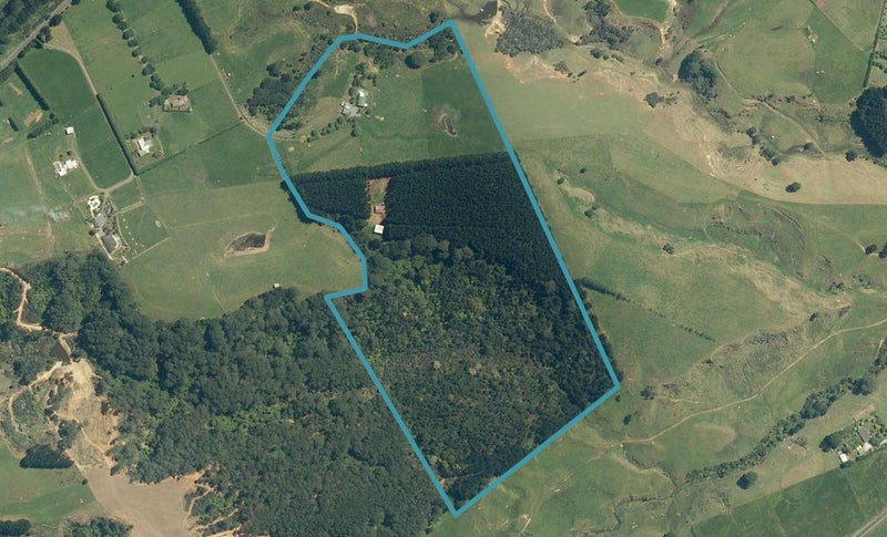 37 Awhitu Central Road, Āwhitu - Carousel 1