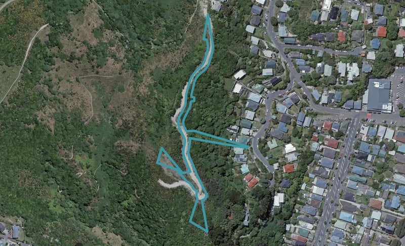 39 Ara Paekawakawa, Island Bay, Wellington - Carousel 1