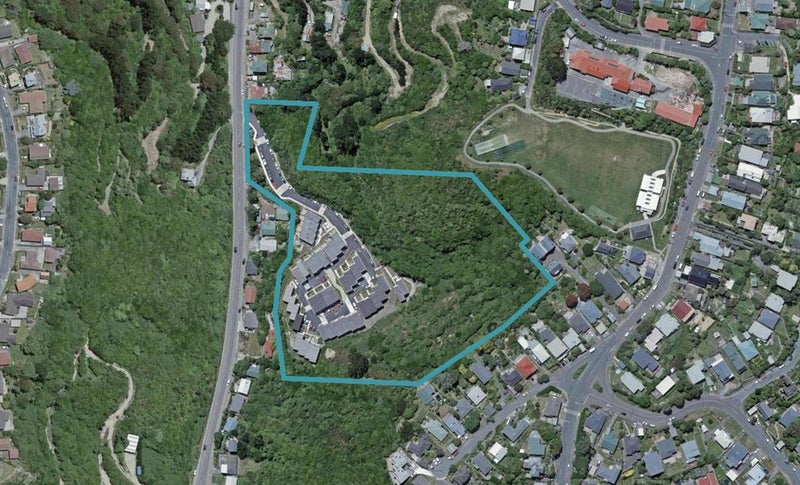 33 Rua Kai WAY, Brooklyn, Wellington - Carousel 1