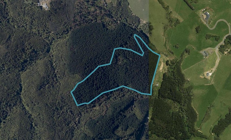 233A Sandford Road, Ruakaka, Ruakākā - Carousel 1