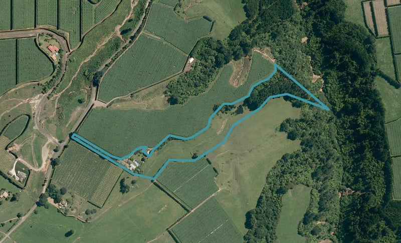 1011 Rangiuru Road, Rangiuru, Te Puke - Carousel 1