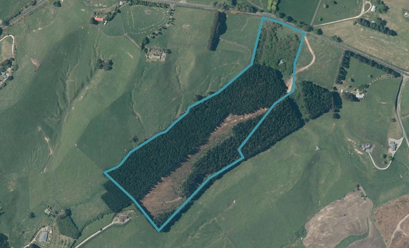 519 Palmer Mill Road, Wairakei, Taupo - Carousel 1