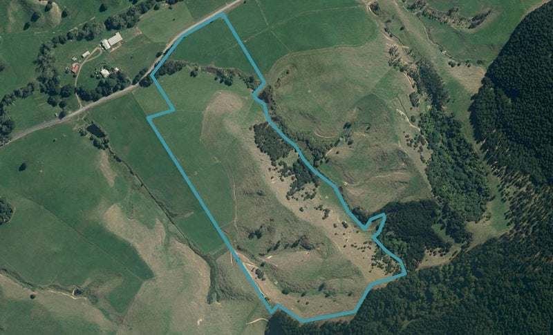238 Waipuna Road, Waerenga - Carousel 1