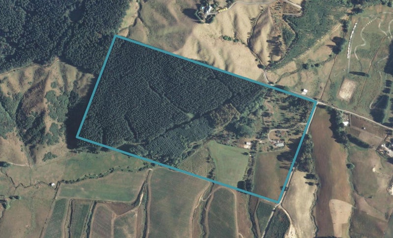 313 Old House Road, Upper Moutere - Carousel 1