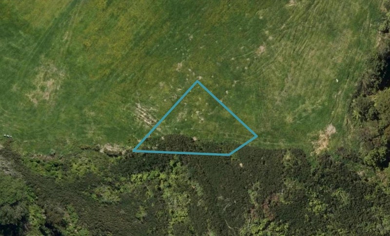 10 Maple Lane, Te Kamo, Whangārei - Carousel 1