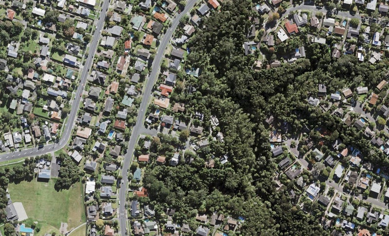 10 Fitzpatrick Place, Chatswood, Auckland - Carousel 1