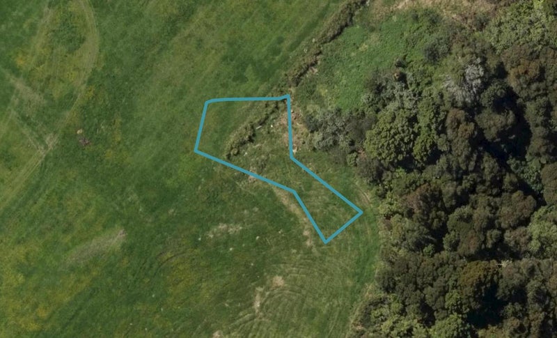 25 Sycamore Drive, Te Kamo, Whangārei - Carousel 1