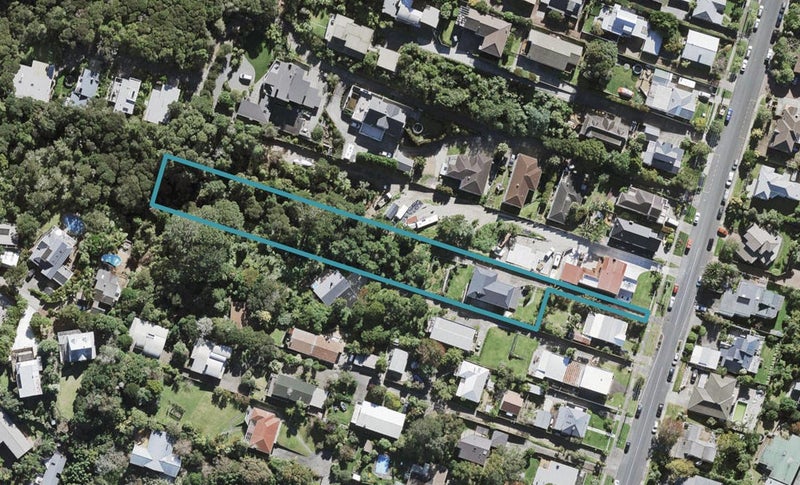 21A Balmain Road, Birkenhead, Auckland - Carousel 1
