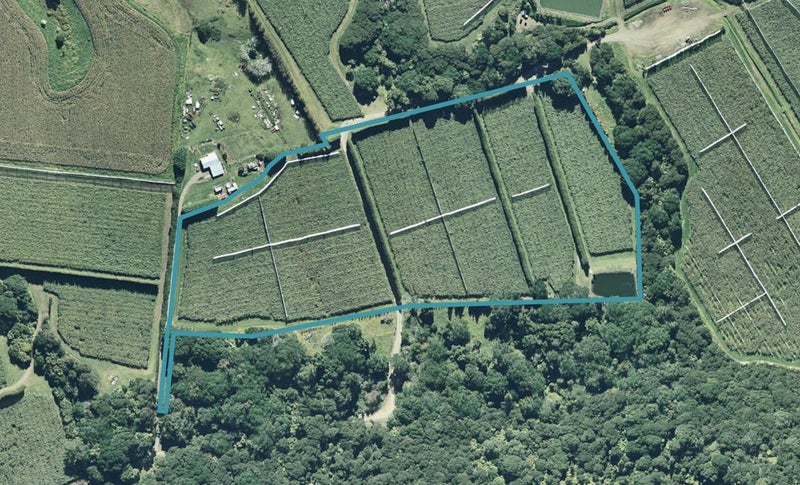 11 Maungaroa Access Road, Te Kaha, Te Kaha - Carousel 1