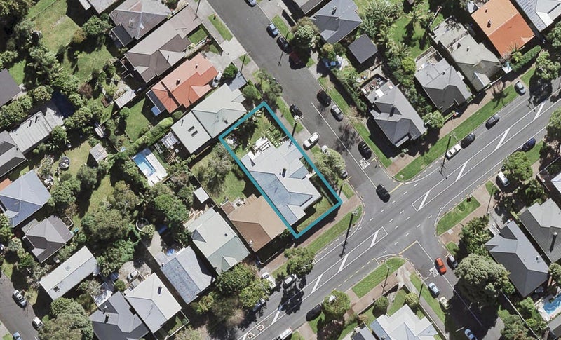 97 Williamson Avenue, Grey Lynn, Auckland - Carousel 1