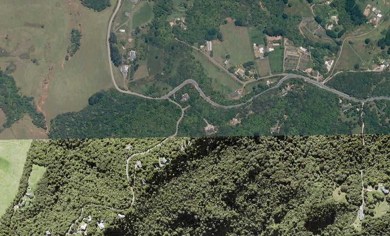 7 Jonkers Road, Henderson - Carousel 1