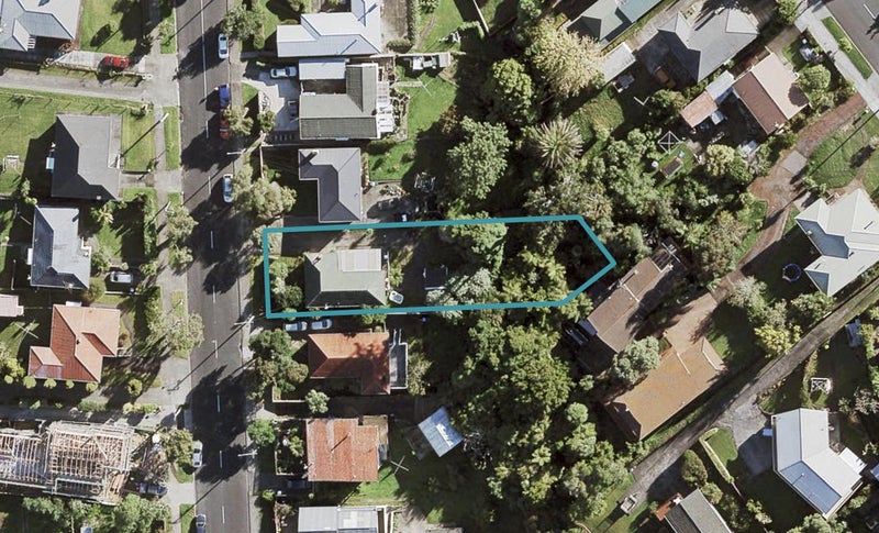 14 Whitney Street, New Windsor, Auckland - Carousel 1
